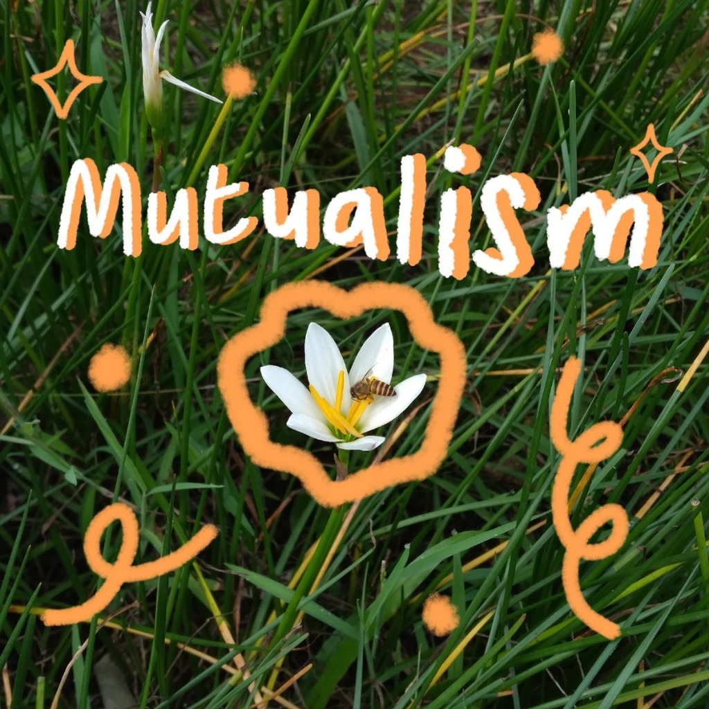 Mutualism